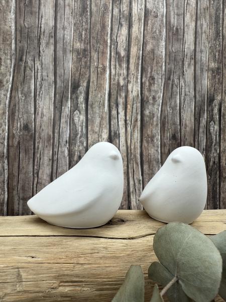 Vögel